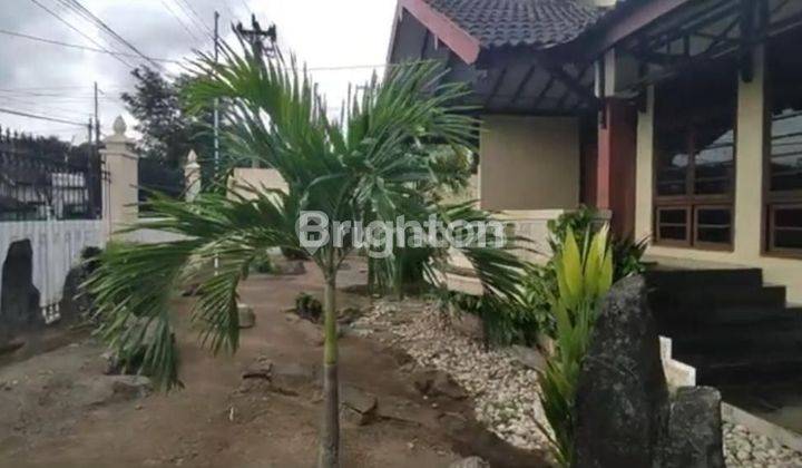 RUMAH ETNIK FULL KAYU JATI 2