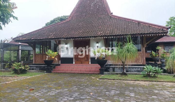 RUMAH JOGLO BONUS RANJANG KLASIK RUMAH JOGLO BONUS RANJANG KLASIK