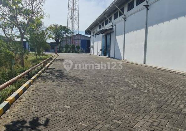 Dijual Pabrik Rumput Laut di Mojosari, Mojokerto  2