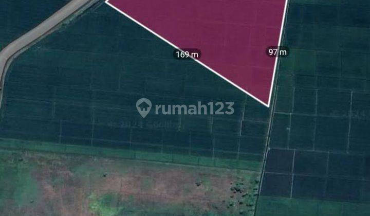 Dijual Tanah Nol Jalan Kabunan Taman Pemalang 1