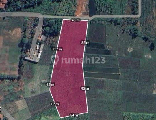 Dijual Tanah Lokasi Strategis di Kandeman Batang  1