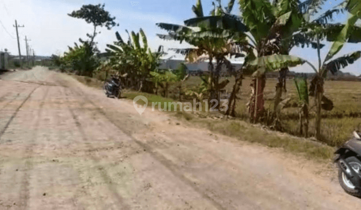 Lahan Industri Wringin Anom Gresik, Lebar Bagus Zona Industri  2