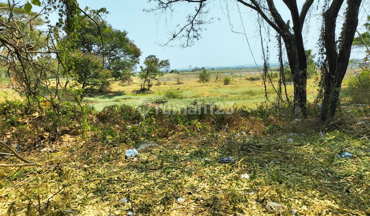 Dijual Lahan Industri Lengkong Nganjuk, Strategis Untuk Industri 2