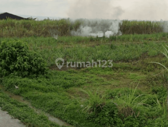 Lahan Industri Plososari Mojokerto Akses Jalan Bisa Container 1