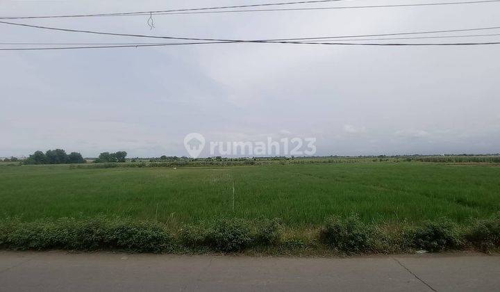 Tanah Nol Jalan Sekitar Lahan Sudah Banyak Pabrik Besar  1