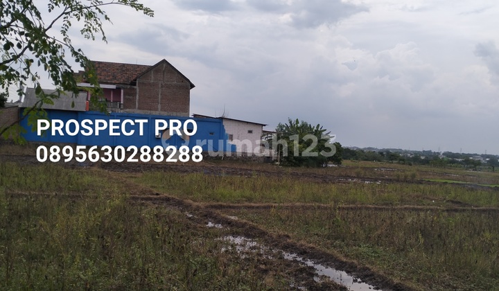 Lahan Pungging Mojosari