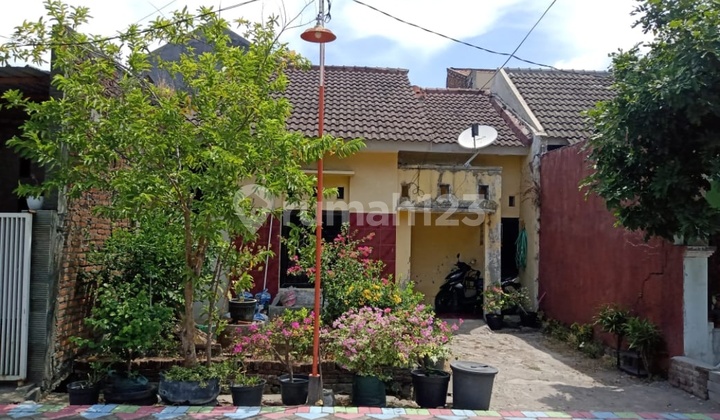 Dijual Rumah Lokasi Kebonagung Sukodono Dijual Rumah Lokasi Kebonagung Sukodono