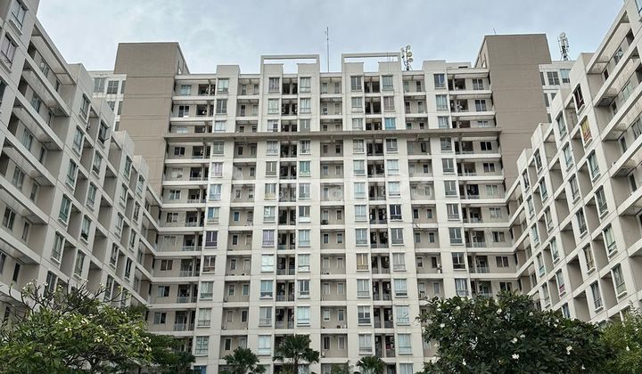 Dijual Apartemen Eastcoast Residence Sebelah Hokky Pakuwon City Penthouse 1