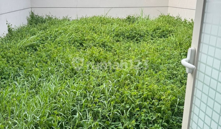 Dijual Rumah Minimalis Grand Harvest Belvoir 2