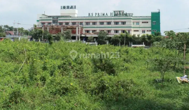 Disewakan Tanah Luas 8.075 M2 Dekat Taman Safari Pasuruan 2