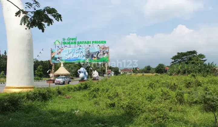 Disewakan Tanah Luas 8.075 M2 Dekat Taman Safari Pasuruan 1