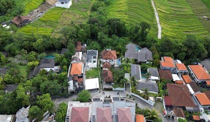 Tanah Pererenan Canggu View Sawah Dan Sungai 2