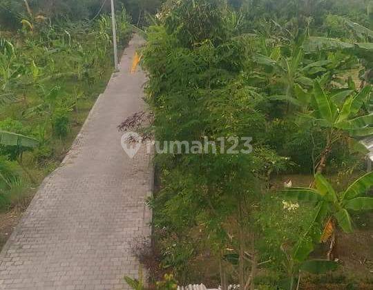 Tanah Dijual Dibawah Harga Pasar View Sawah Mengwi 1