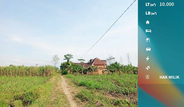 Tanah Kering Cocok Untuk Perumahan di Arjowinangun Malang 1