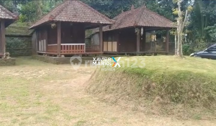 TANAH  DI PUPUAN TABANAN - BALI COCOK UNTUK VILLA ATAU TEMPAT WISATA