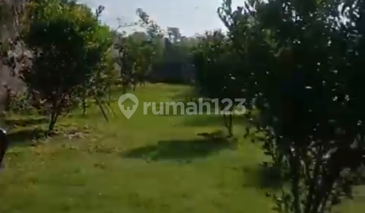 TANAH  DI PETUNGSEWU KEC. DAU, MALANG