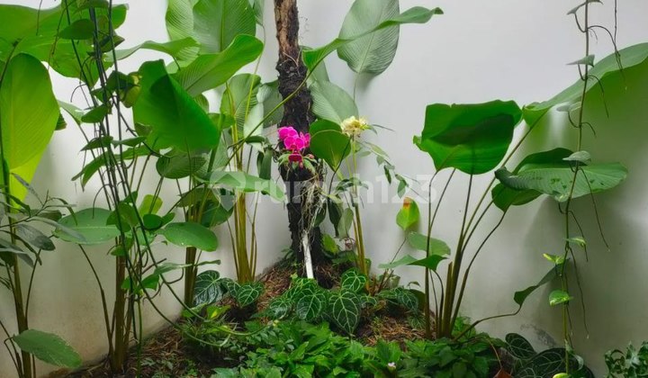 Quick Sale Comfortable Minimalist House in Strategic Arcamanik 2