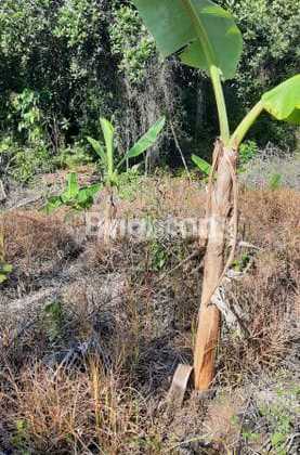 Tanah Strategis Di Jl. Pantura Taritip, Balikpapan – 15.792 M², Akses Mobil