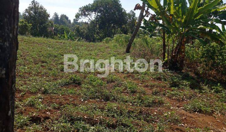 TANAH DENGAN PEMANDANGAN YANG SANGAT INDAH DI KETINGGIAN BUKIT PANDAAN 2