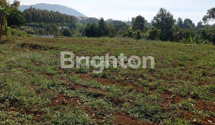 TANAH DENGAN PEMANDANGAN YANG SANGAT INDAH DI KETINGGIAN BUKIT PANDAAN 1