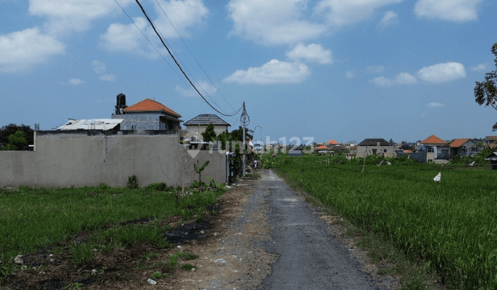 Jual Tanah Penatih Denpasar Lt 600 M2 2