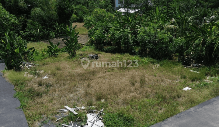 Jual Tanah Penatih Denpasar Lt 400 M2 1