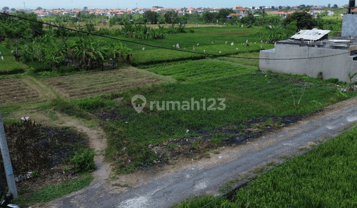 Jual Tanah Penatih Denpasar Lt 600 M2 1