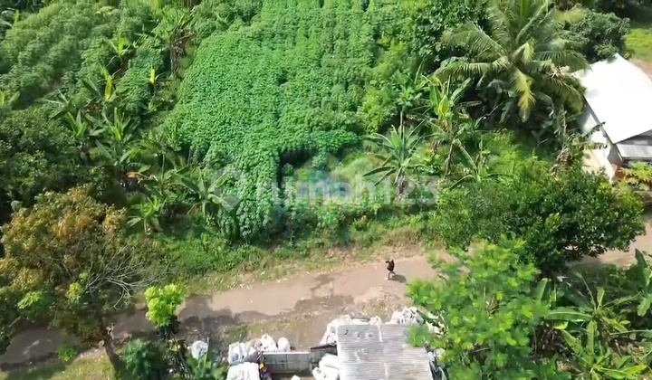 SHM Land in Cisauk Tangerang Near BSD and Cicayur Station Strategic Location Suitable for Investment