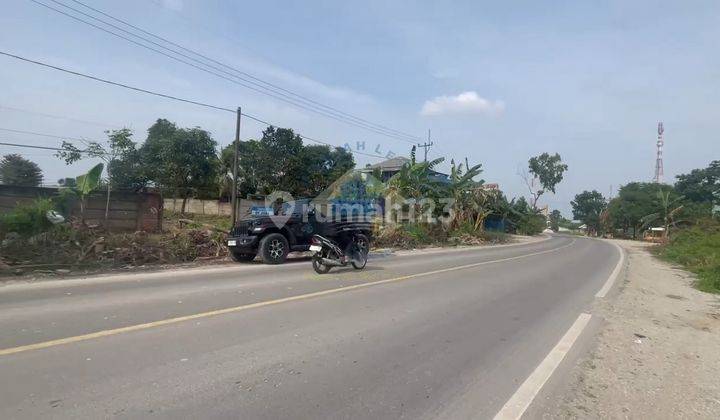 Jual Tanah Industri 4515m Shm Di Cempalng Jawilan Serang 1