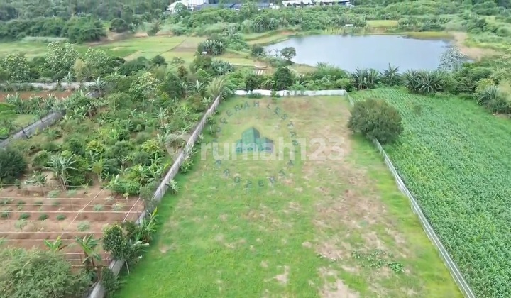 Tanah Murah di Dangdang Cisauk Tangerang Dkt Stasiun Baru Jatake Tanah Murah di Dangdang Cisauk Tangerang Dkt Stasiun Baru Jatake