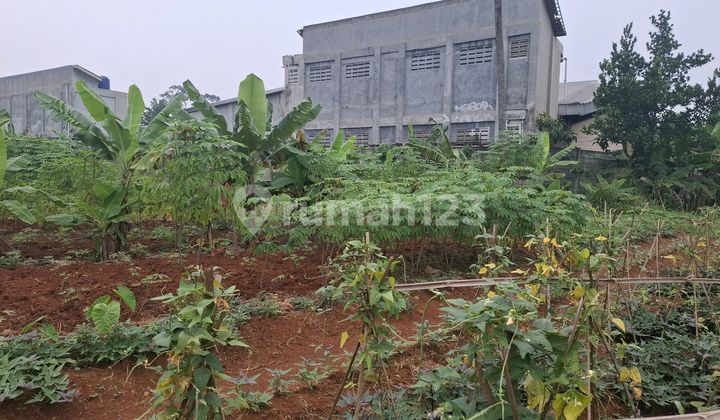 Jual Tanah 1796m Shm Padurenan Gunung Sindur.bogor Jual Tanah 1796m Shm Padurenan Gunung Sindur.bogor