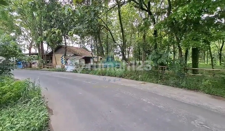 Tanah Murah 6Ha SHM Zona Kuning Dkt Stasiun Daru Jambe Tangerang Tanah Murah 6Ha SHM Zona Kuning Dkt Stasiun Daru Jambe Tangerang