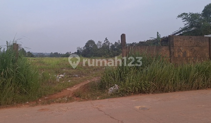 Tanah 8000M SHM Zona Kuning Gorowong Parungpanjang Bogor Dkt Bsd Tanah 8000M SHM Zona Kuning Gorowong Parungpanjang Bogor Dkt Bsd