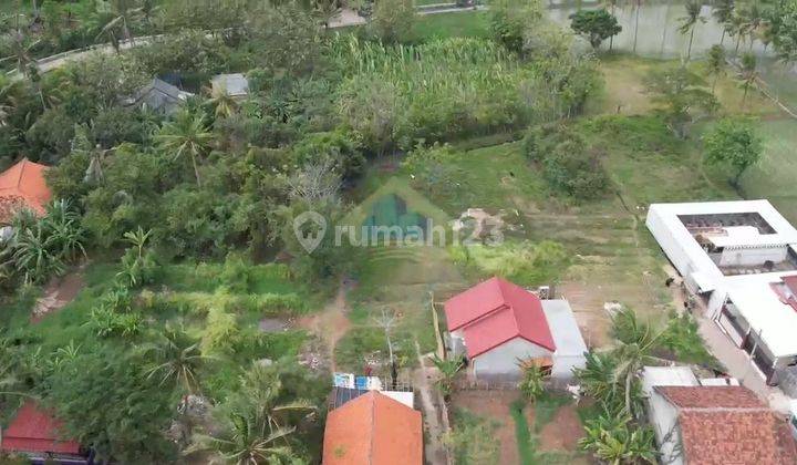 Jual Tanah 10 hectare SHM Zona Kuning di Rajeg Tangerang 2