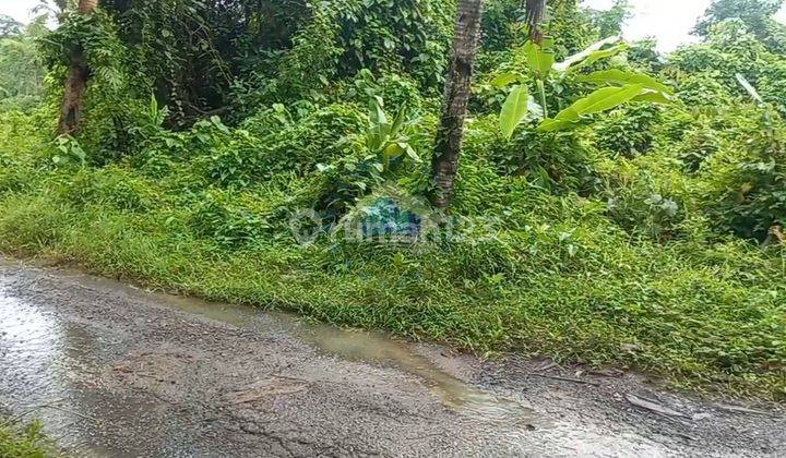 Jual Tanah 2.1ha Shm Cocok Untuk Kandang Di Cileles Lebak Banten 1