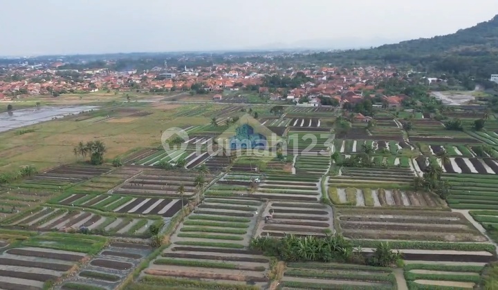 Jual Murah Tanah 32 Hektar Dekat Tol Cilegon Jual Murah Tanah 32 Hektar Dekat Tol Cilegon