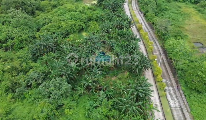 Jual Tanah Murah SHM Zona Industri Jagabaya Bogor Jual Tanah Murah SHM Zona Industri Jagabaya Bogor