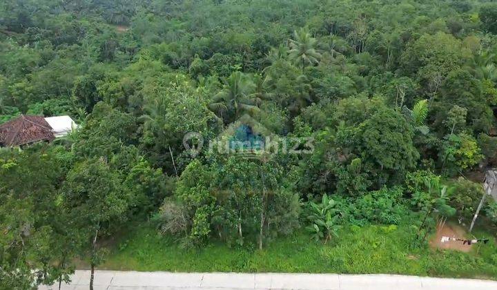 Jual Tanah Industri 15ha Murah Dekat Tol Cilleles Lebak Banten 2