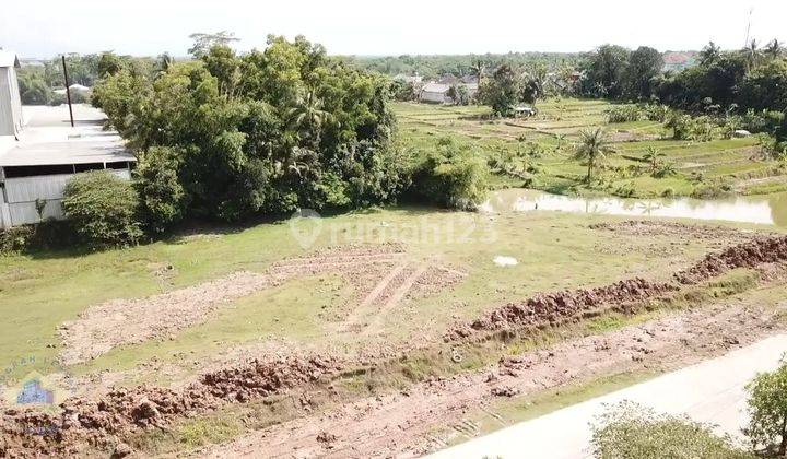 Jual Tanah Kavling Industri 3000 M² Shm Di Jawilan Serang 2