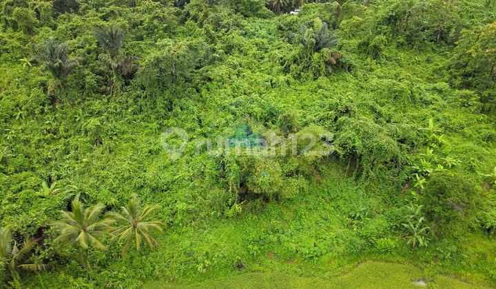 Jual Tanah 2.1ha Shm Cocok Untuk Kandang Di Cileles Lebak Banten