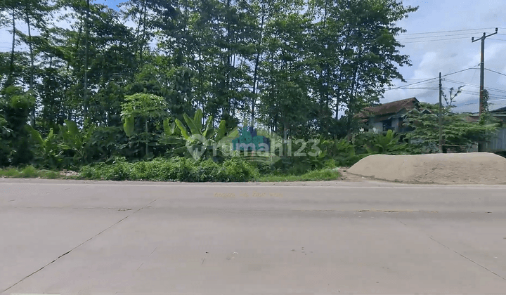 Tanah di Jalan Raya Cikande, Serang SHM 123.000 m² 2