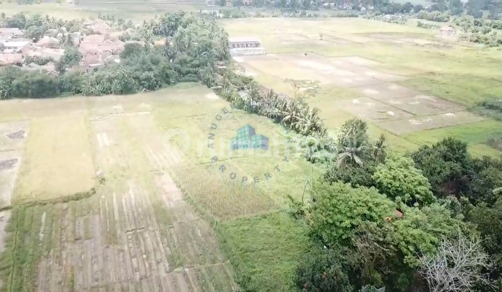 Jual Tanah Murah Ajb Di Balaraja Tangerang