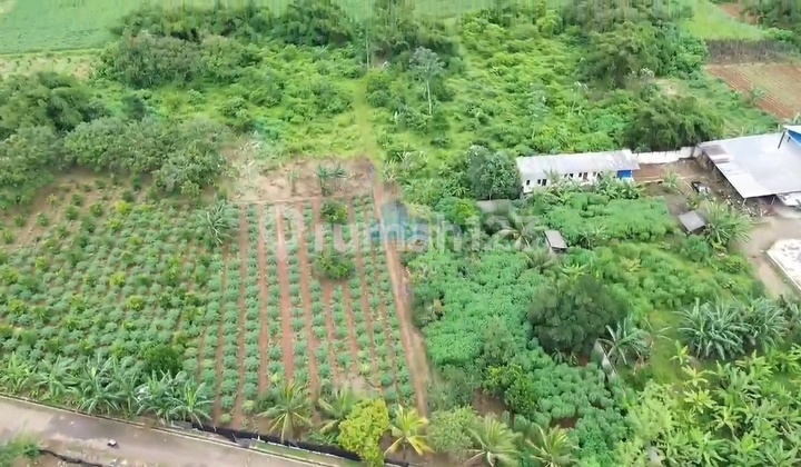 Tanah Murah 33572m Tanah Darat Hadap Barat Daya Zona Kuning Tanah Murah 33572m Tanah Darat Hadap Barat Daya Zona Kuning