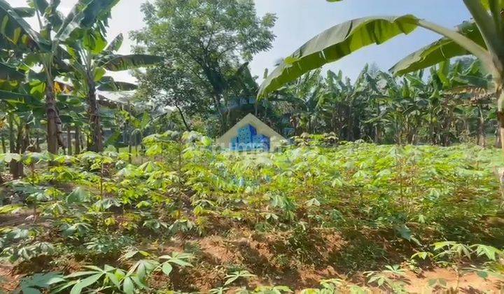 Jual Tanah Di Jl Raya Curug Mekar Jaya Panongan Tangerang 2