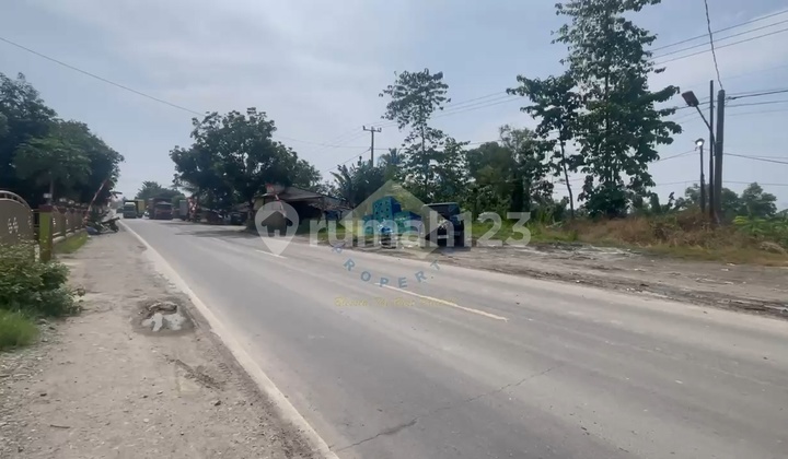 125ha Land in Jawilan Serang Near Citeras Station 125ha Land in Jawilan Serang Near Citeras Station