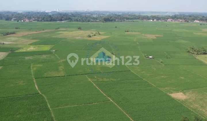 Tanah 24ha Shm Akses Kontainer Kopo Serang Banten