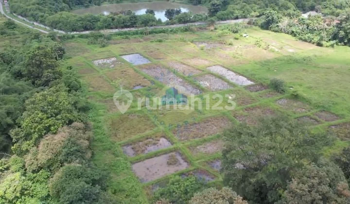 Tanah Dijual 4,7.hektar Shm Di Jl Kopo Maja Desa Gabus Serang