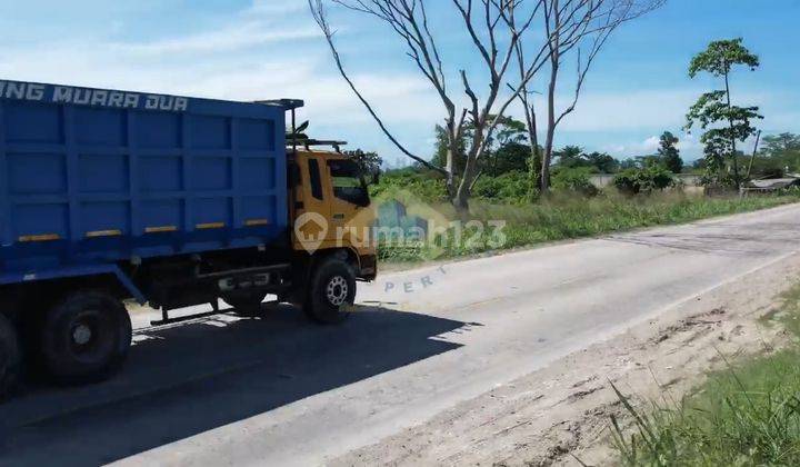 Tanah Dijual 5,9 Hektar Shgb Di Jl Raya Jawilan Serang Banten Tanah Dijual 5,9 Hektar Shgb Di Jl Raya Jawilan Serang Banten