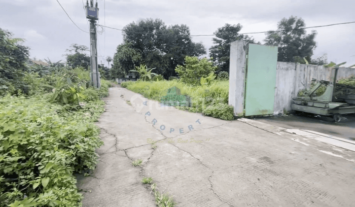 Gudang di Jalan Desa Cemplang, Serang 1.000 m SHM 2