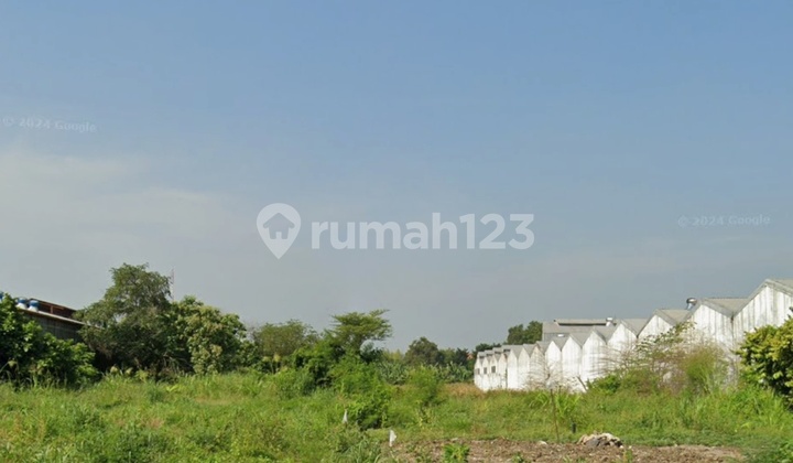 Babat Jerawat Pakal Grand Land 9000m2 Strategic